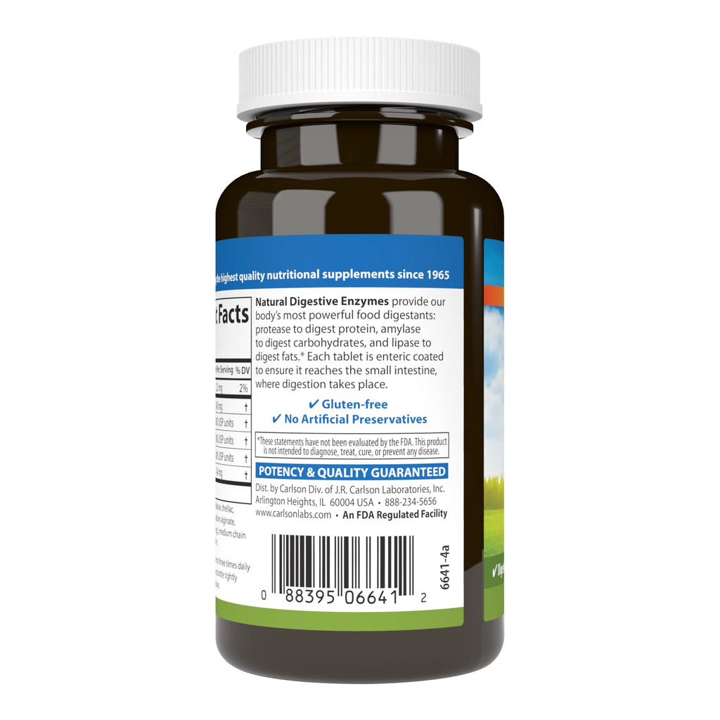 Natural Digestive Enzymes, 100 Tablets S43741