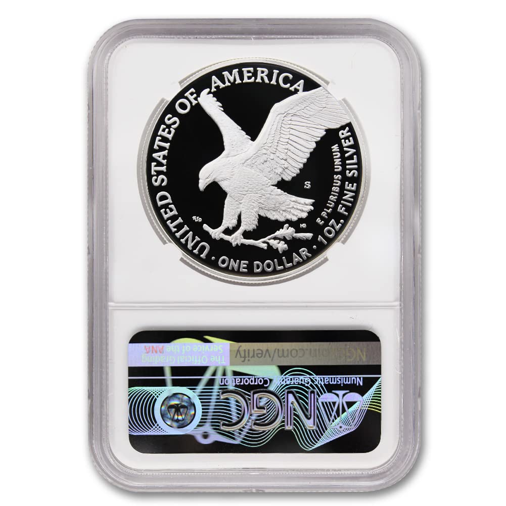 1 oz American Silver Eagle Coin E408490