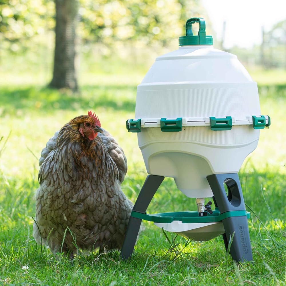 6 Gallon Top Fill Gravity Fed Poultry Waterer L3592