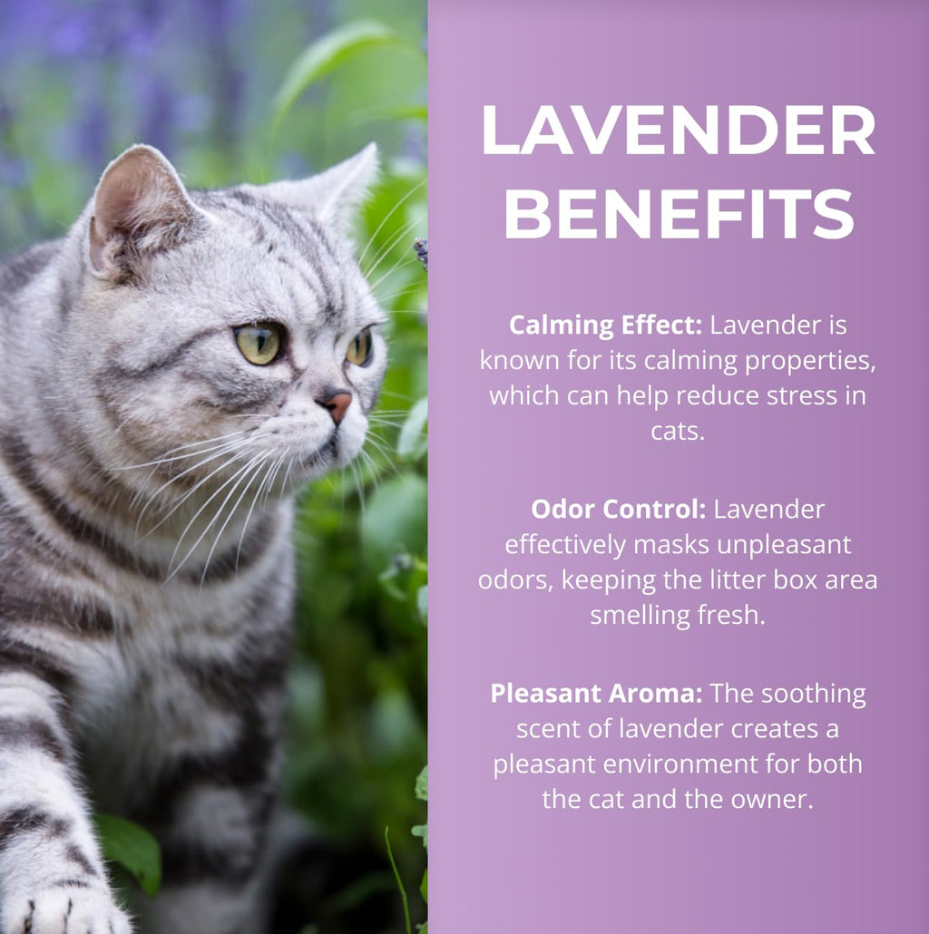 Lavender Scented Diatomaceous Earth 8.8 lb C931443