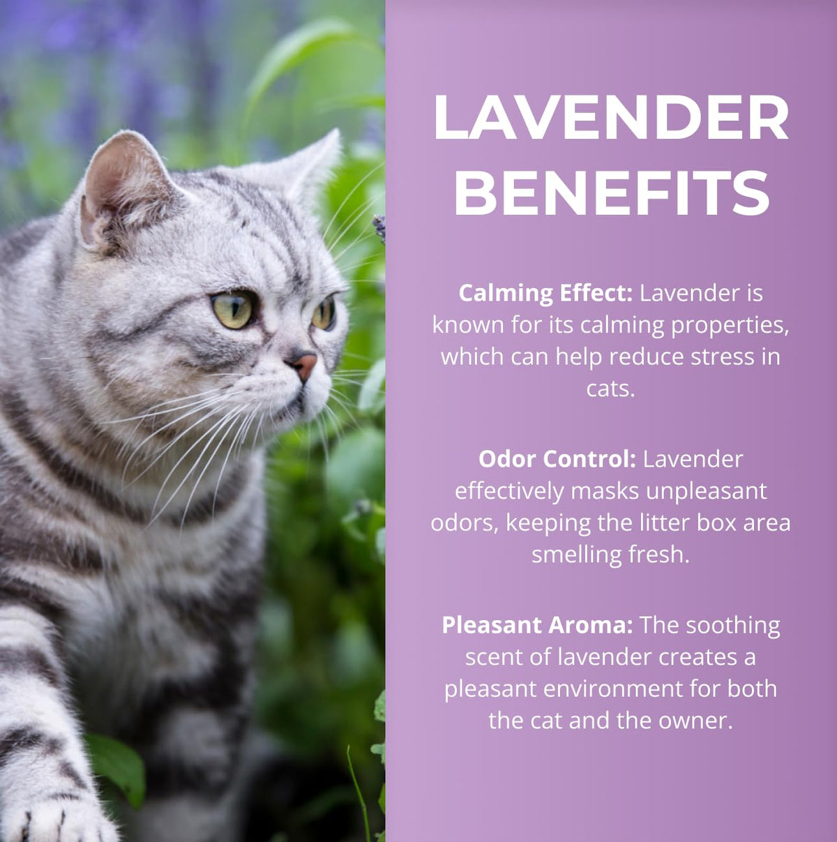 Lavender Scented Diatomaceous Earth 8.8 lb C931443