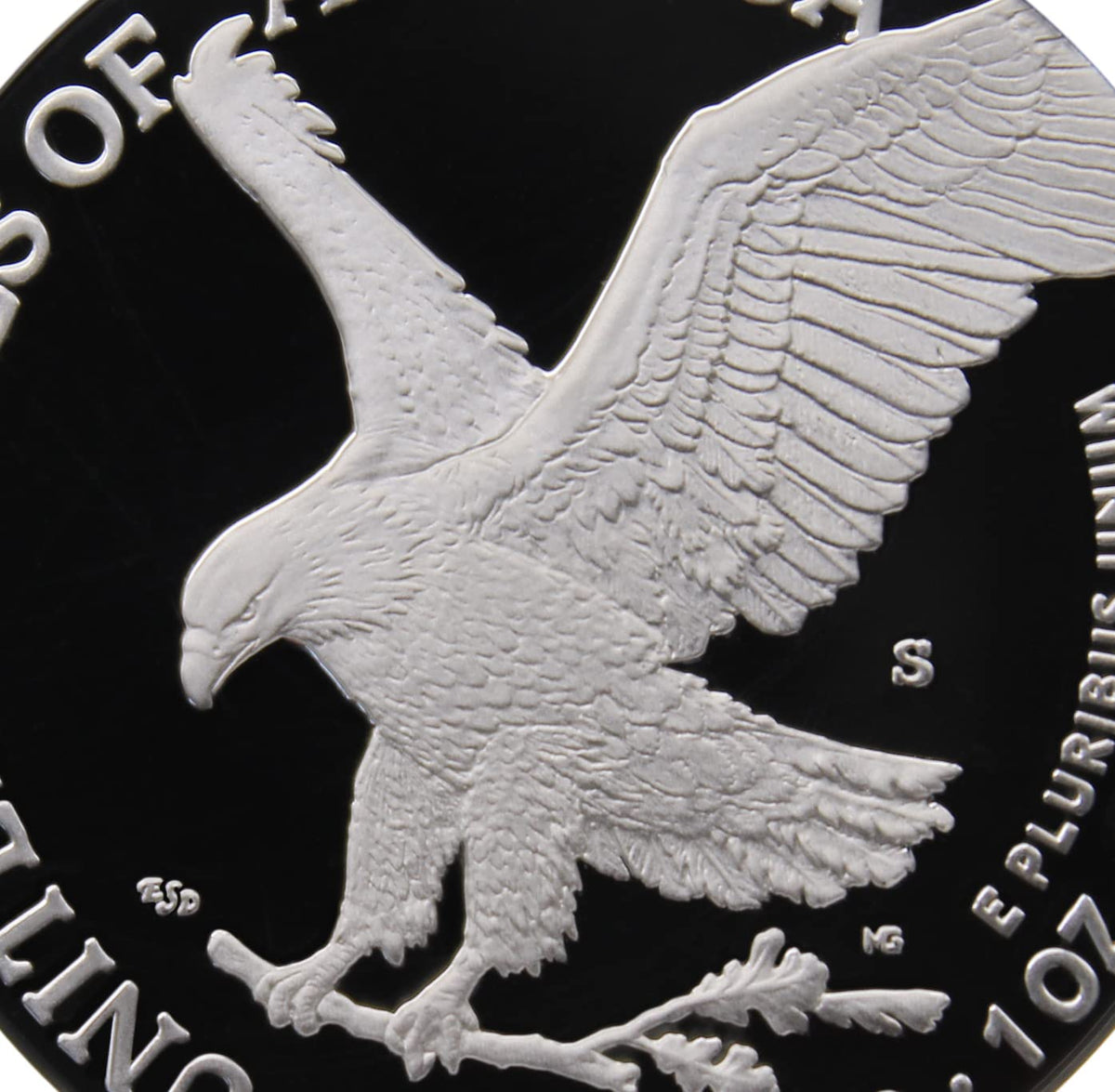 1 oz American Silver Eagle Coin E408490