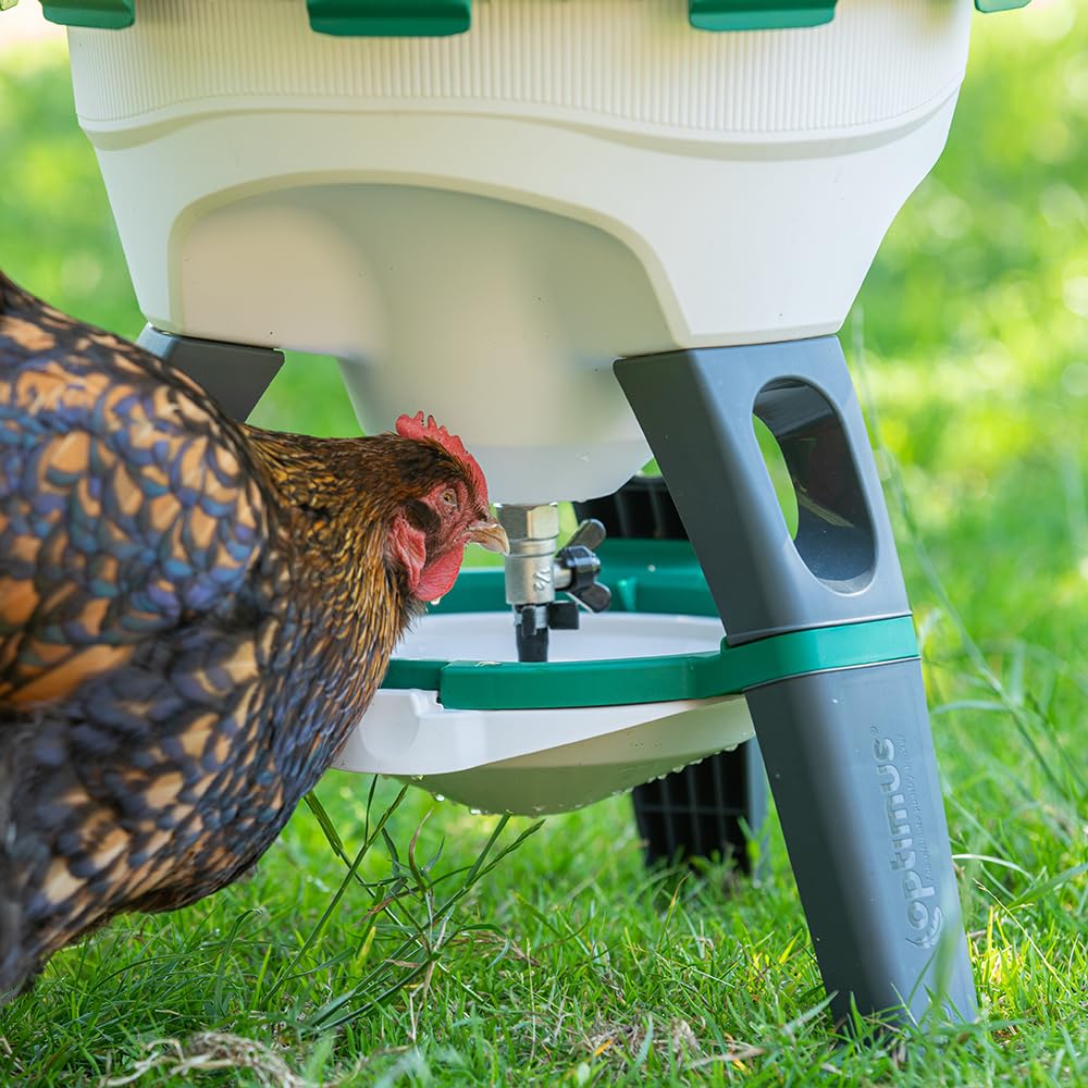 6 Gallon Top Fill Gravity Fed Poultry Waterer L3592