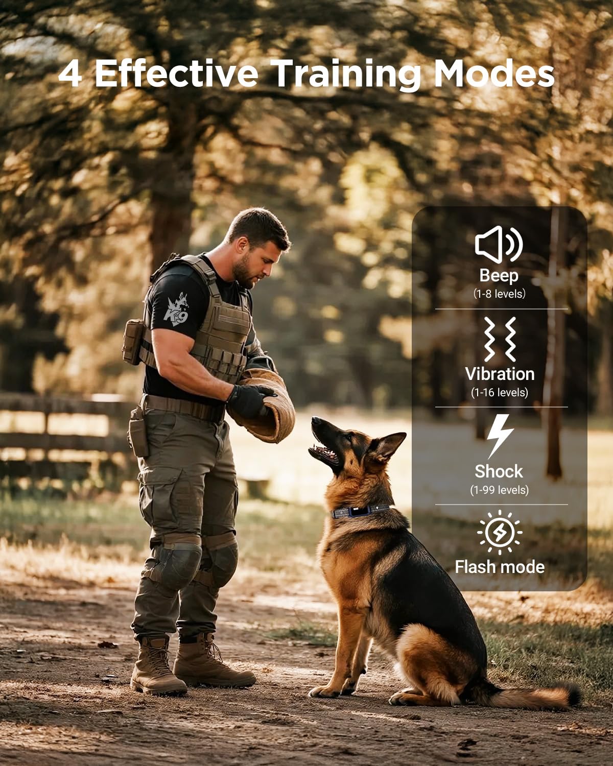 2 Dogs Dog Training Collar with Remote, 4 Training Modes, IP67 Waterproof A6904