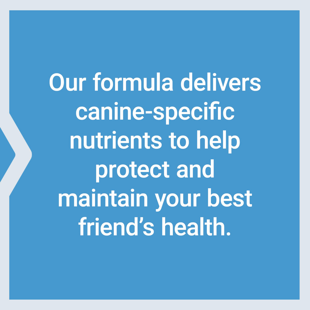 Dog Vitamins and Supplements 60 Servings Y8844