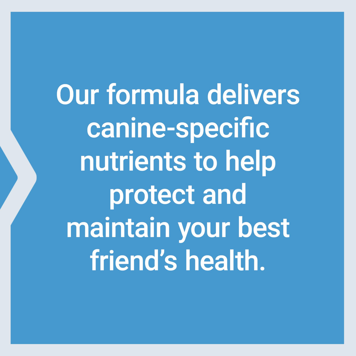 Dog Vitamins and Supplements 60 Servings Y8844