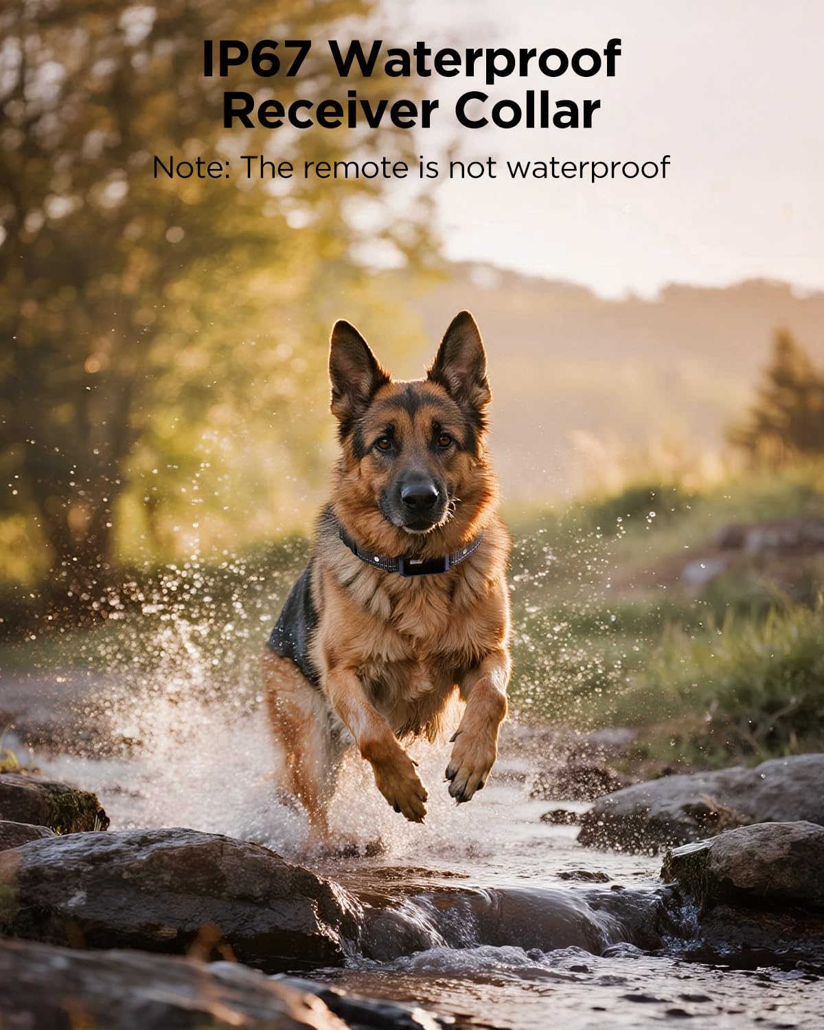 2 Dogs Dog Training Collar with Remote, 4 Training Modes, IP67 Waterproof A6904