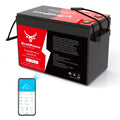 12V 330Ah LiFePO4 Battery with 200A BMS N97803