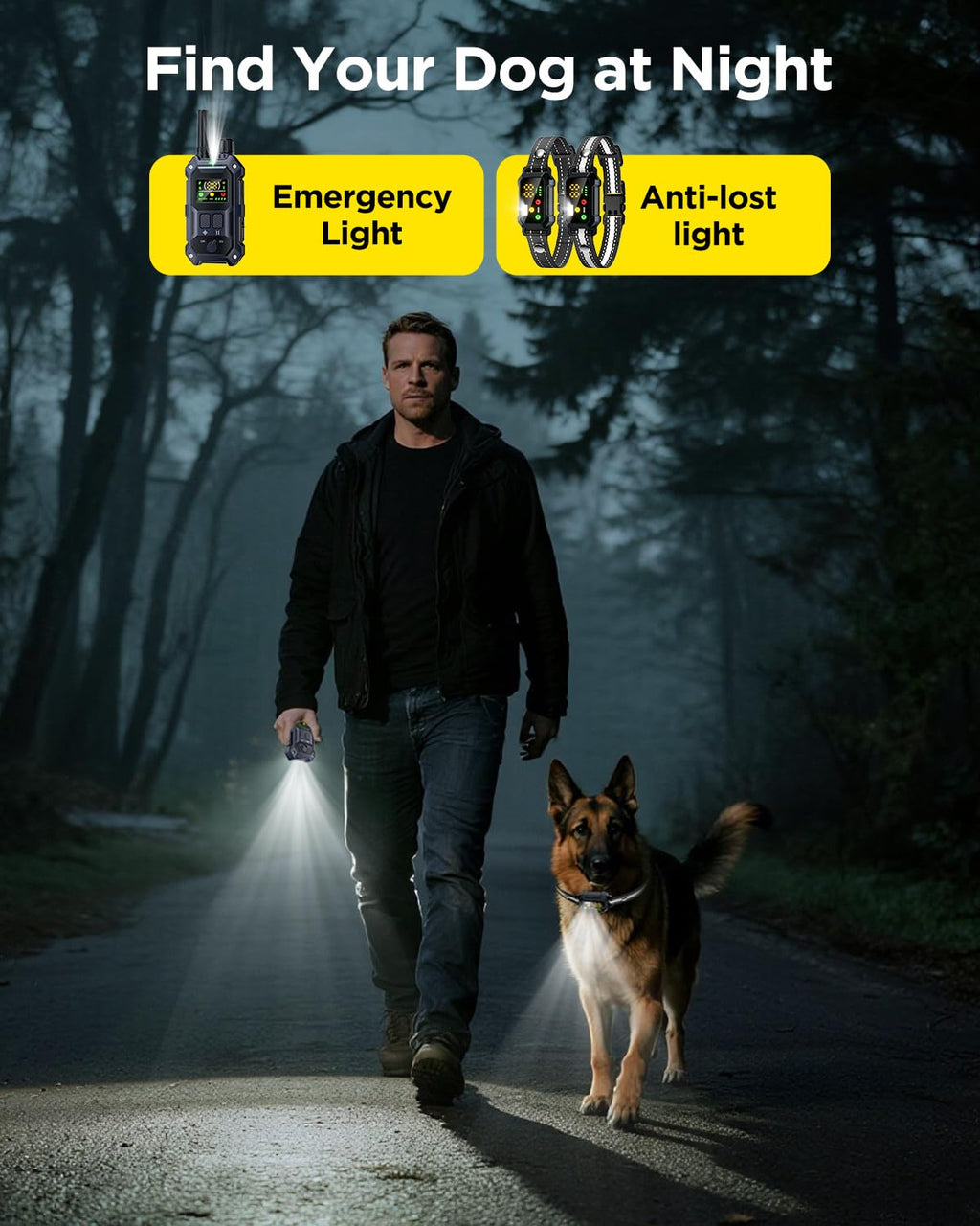 2 Dogs Dog Training Collar with Remote, 4 Training Modes, IP67 Waterproof A6904