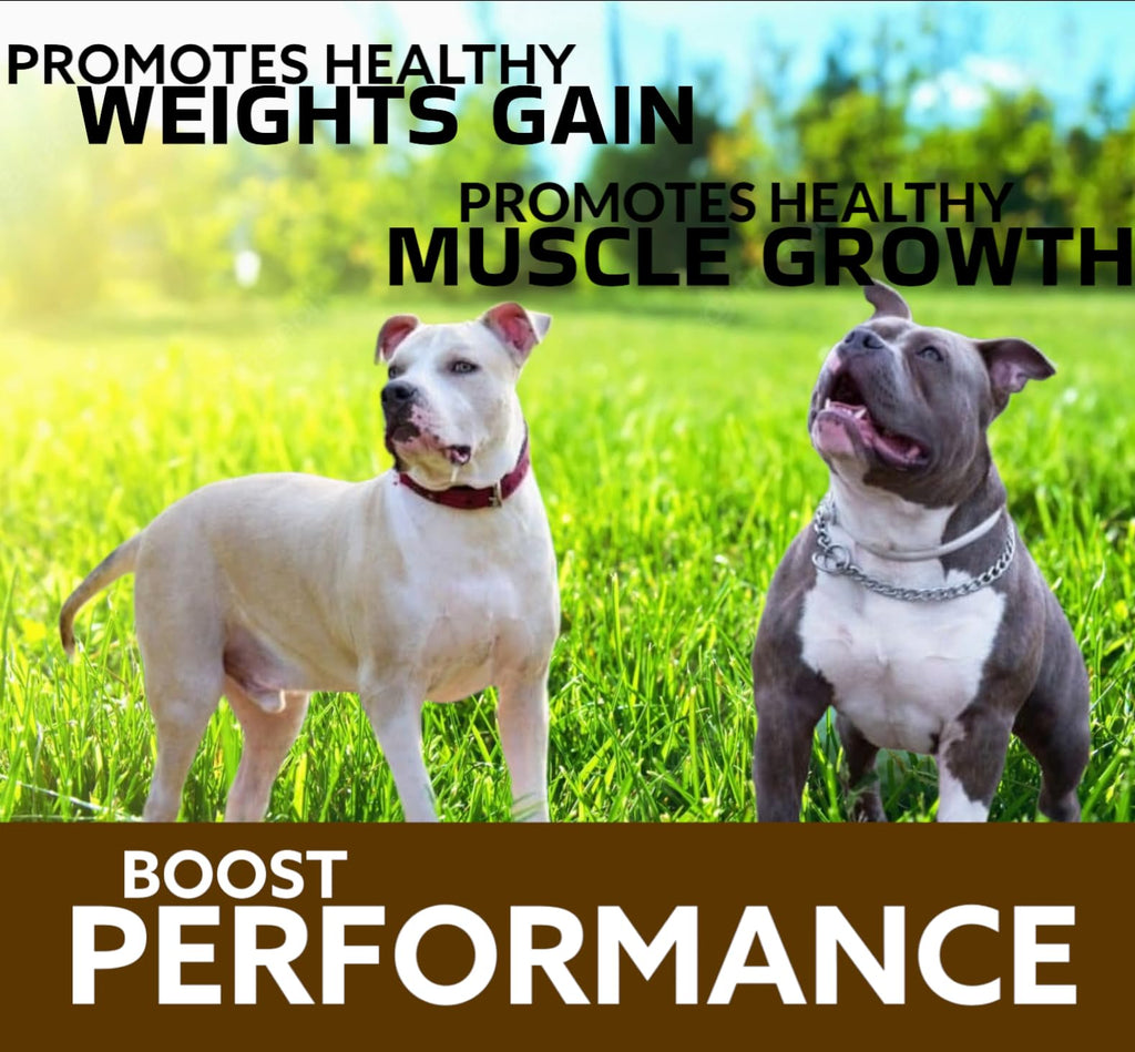 Chewable Tablets for Dogs E9501