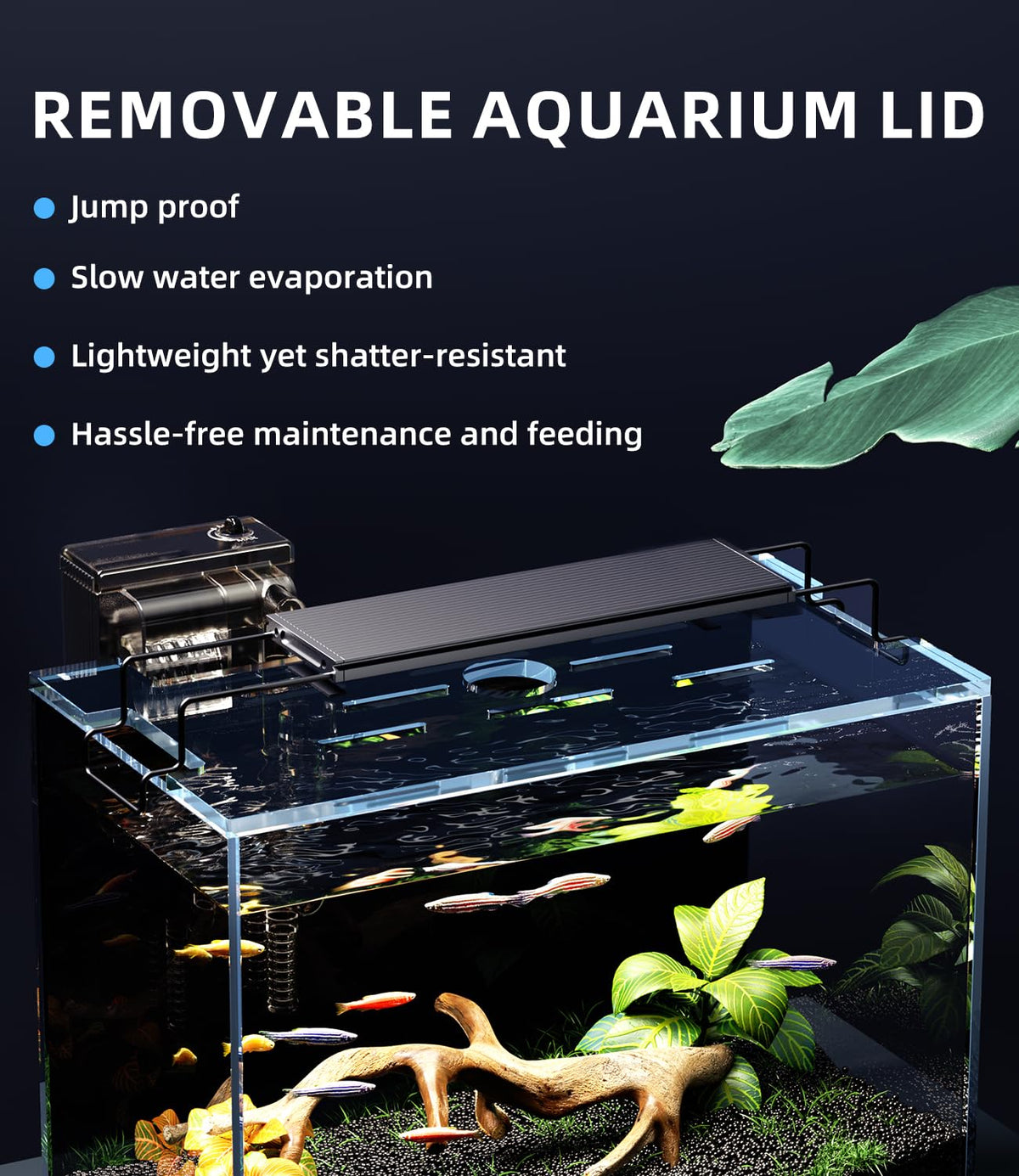 5 Gallon Rimless Glass Aquarium Starter Kit with Filter Light Lid A5038