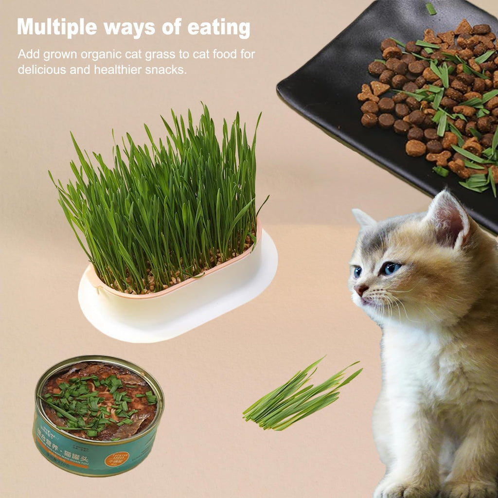 3Pcs Plastic Cat Grass Planter Hydroponic Growing Kit B6676