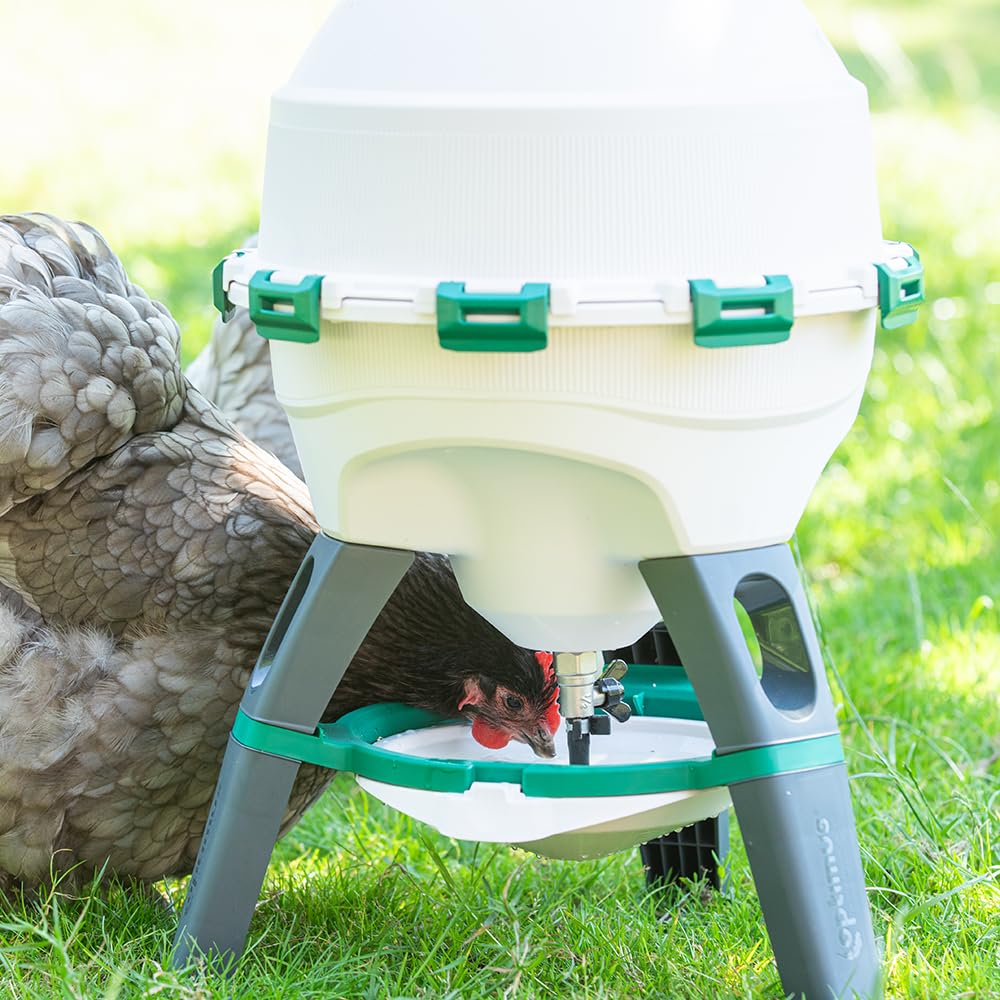 6 Gallon Top Fill Gravity Fed Poultry Waterer L3592
