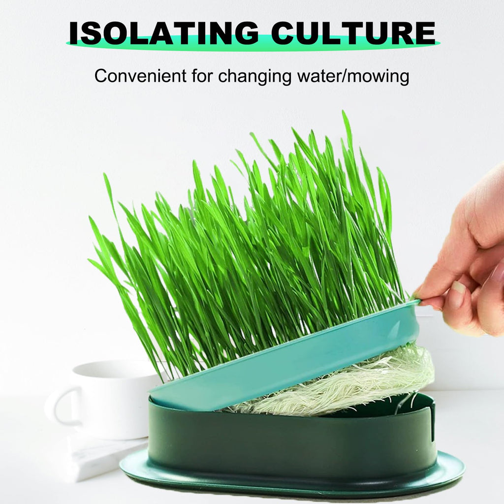 3Pcs Plastic Cat Grass Planter Hydroponic Growing Kit B6676