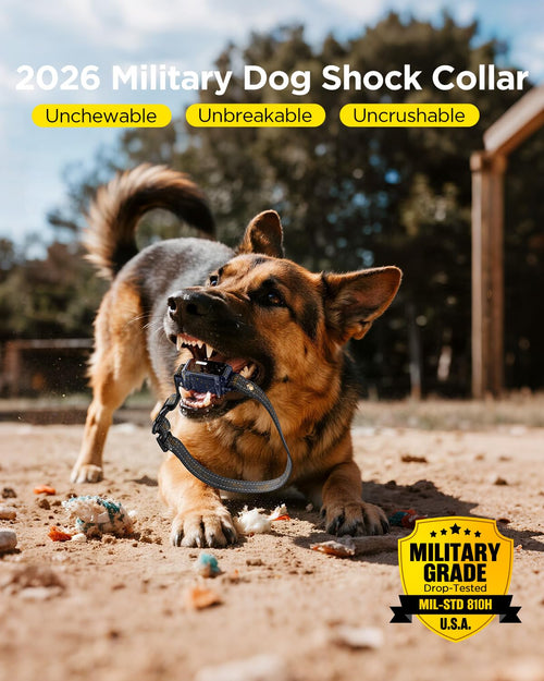 2 Dogs Dog Training Collar with Remote, 4 Training Modes, IP67 Waterproof A6904