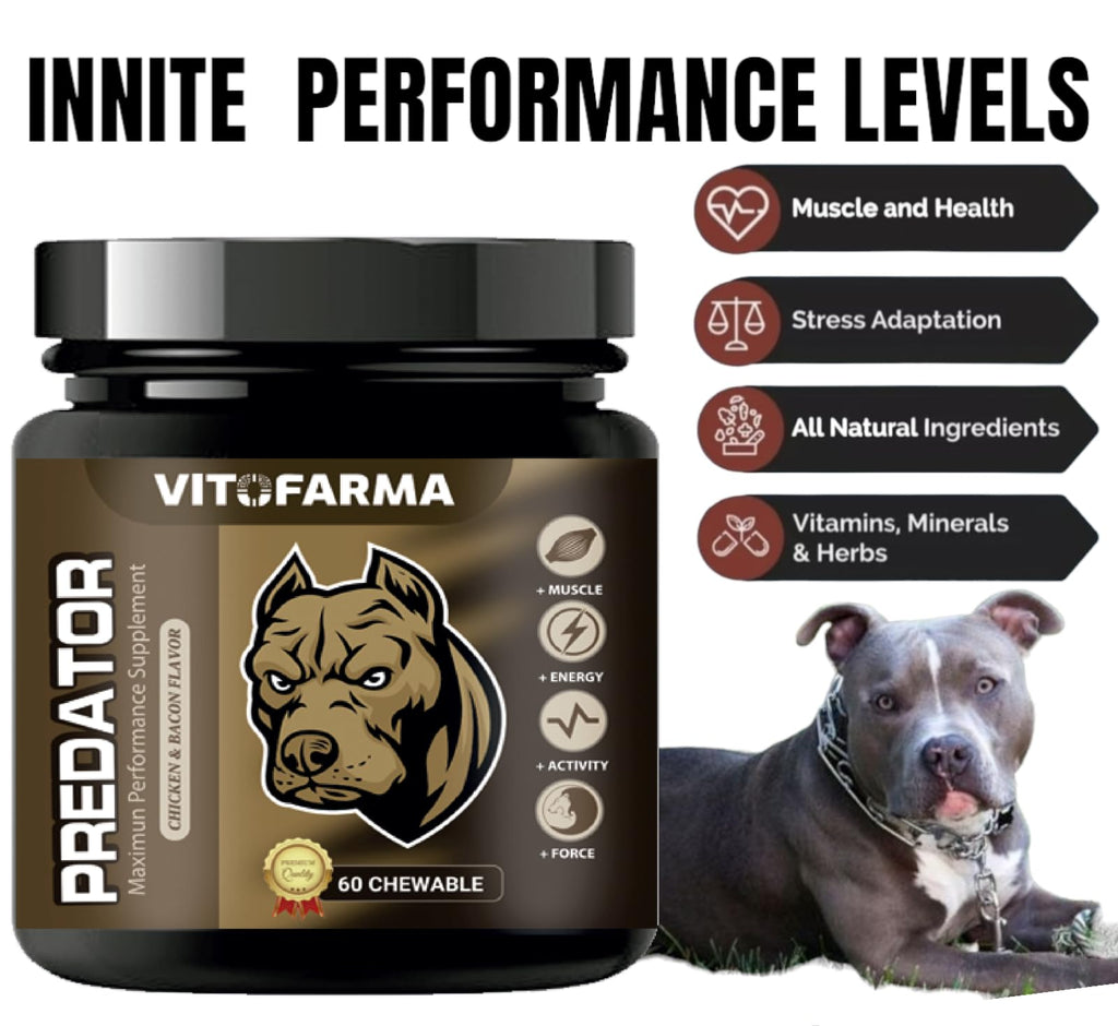 Chewable Tablets for Dogs E9501