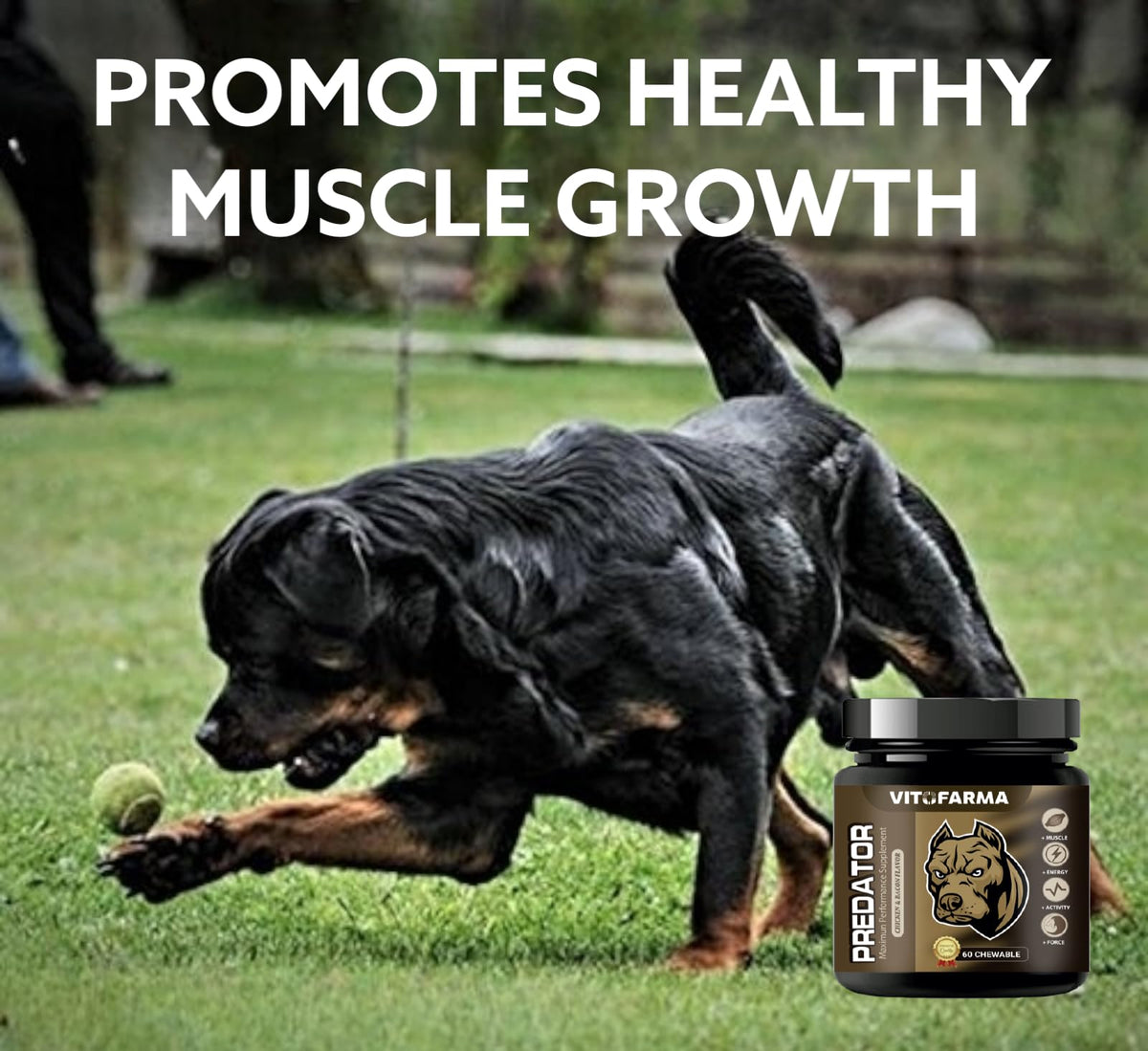 Chewable Tablets for Dogs E9501