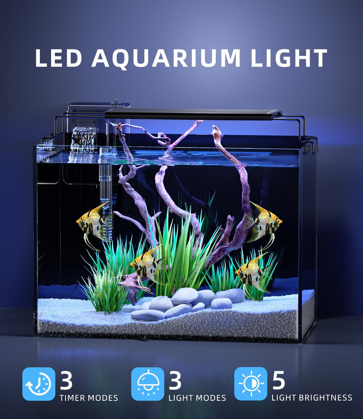 5 Gallon Rimless Glass Aquarium Starter Kit with Filter Light Lid A5038