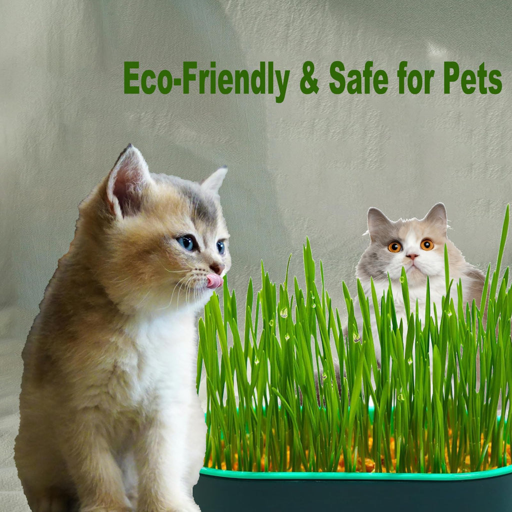 3Pcs Plastic Cat Grass Planter Hydroponic Growing Kit B6676