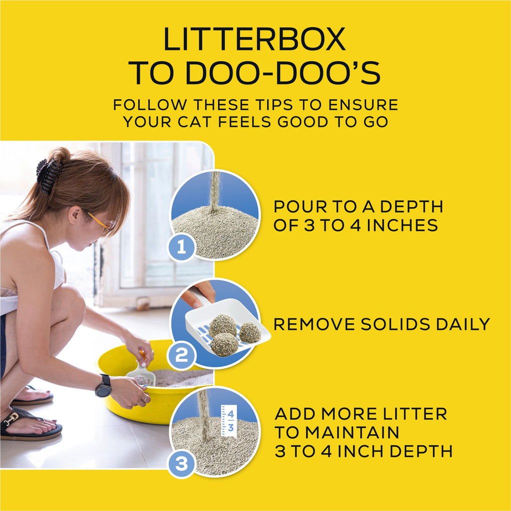 17 lb Lightweight Cat Litter O379
