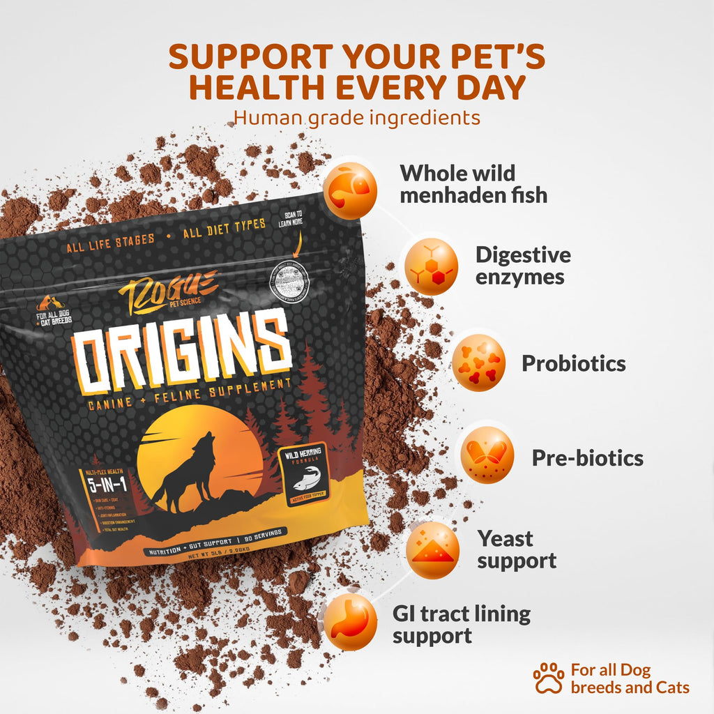 5-in-1 Dog Supplement Powdered Food Topper with Omega 3 Fish Oil 5 lbs X43603