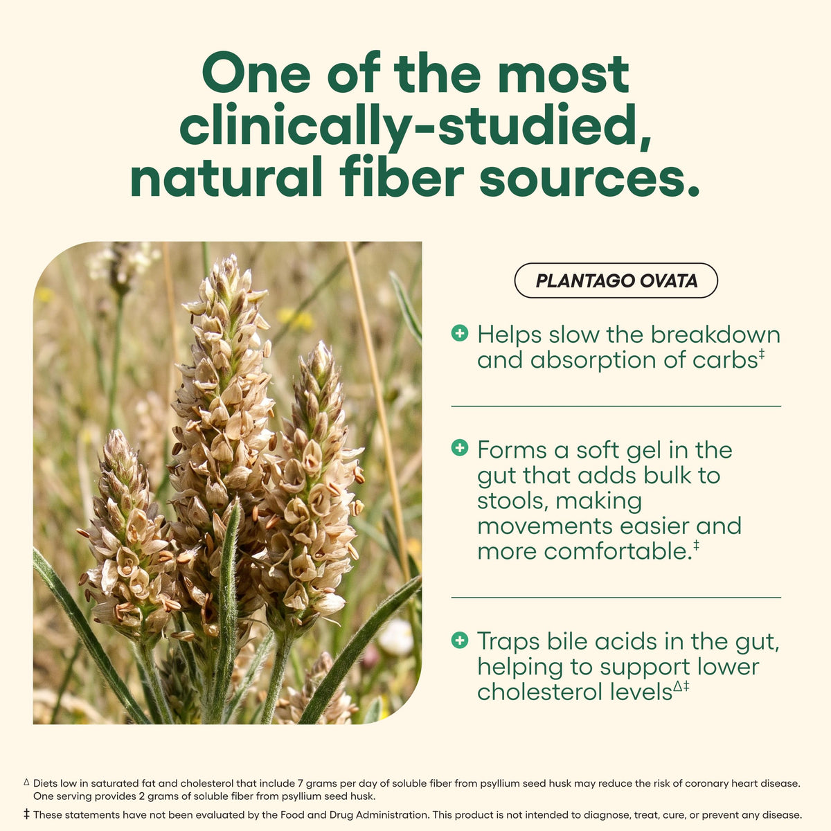 Vegan Psyllium Husk Fiber 300 Capsules M405