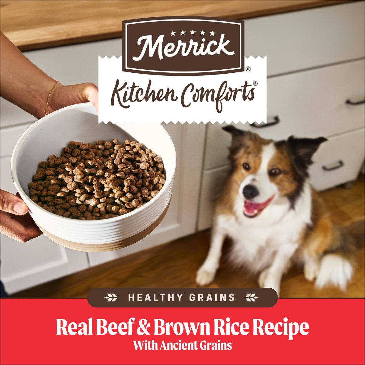 Adult Dry Dog Food Beef and Brown Rice 12 lb X494995