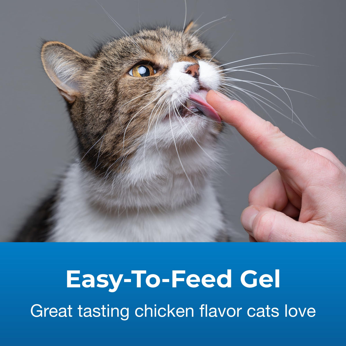 Urinary Tract Gel Supplement for Cats 3.5 oz W422380