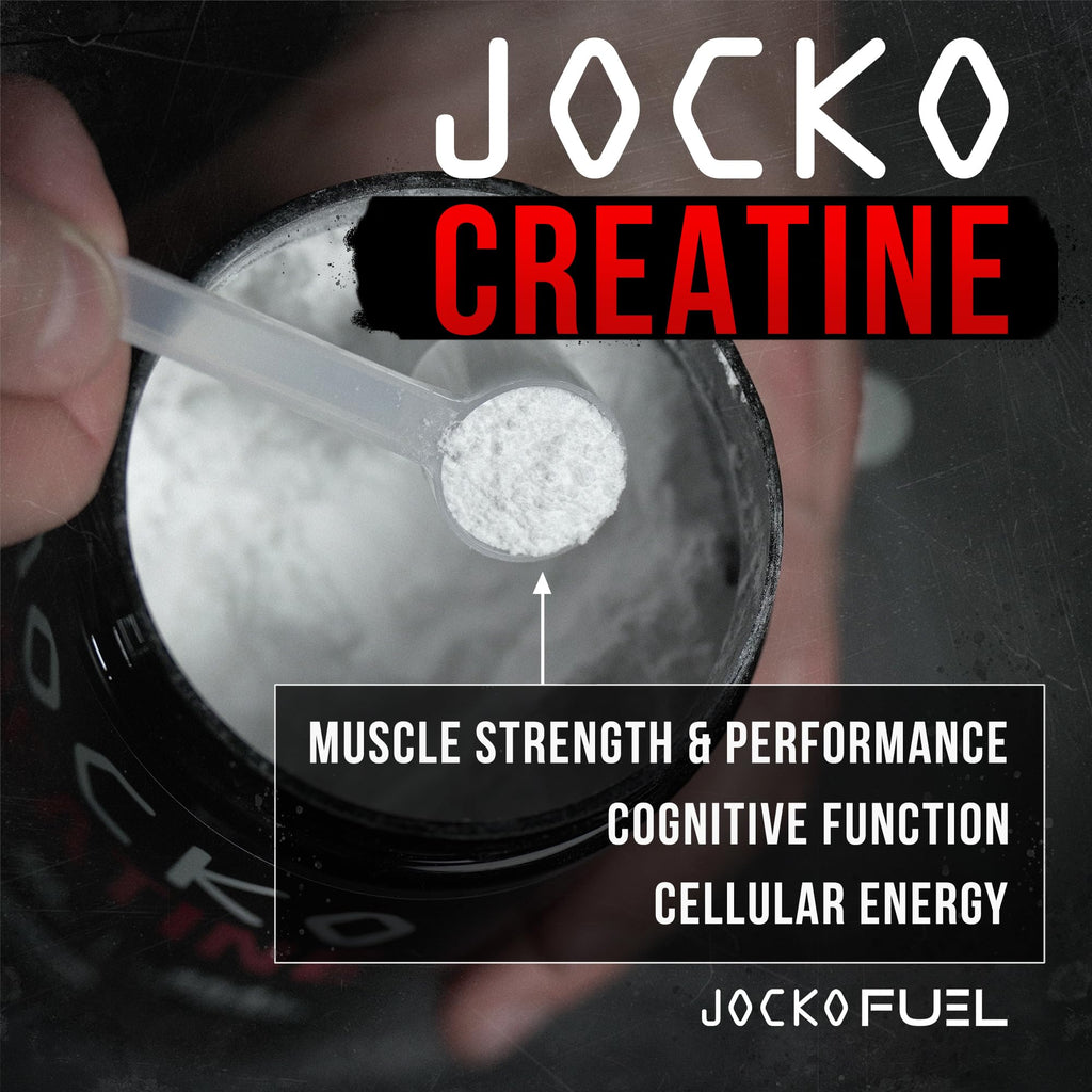 Creatine Monohydrate Powder Unflavored 454g B6951