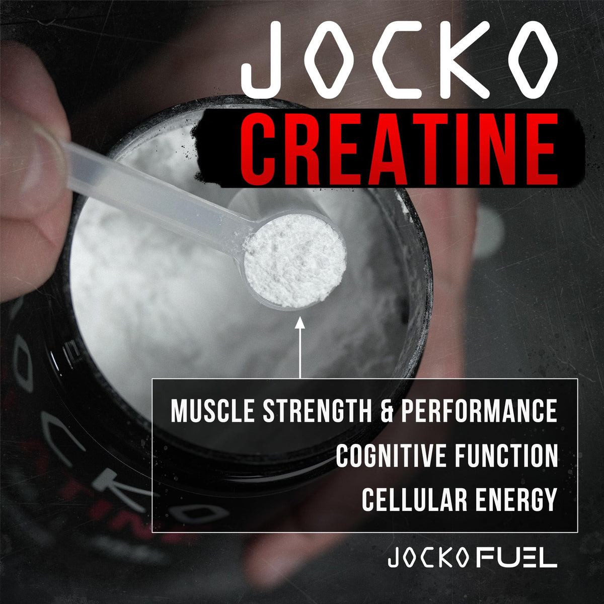 Creatine Monohydrate Powder Unflavored 454g B6951