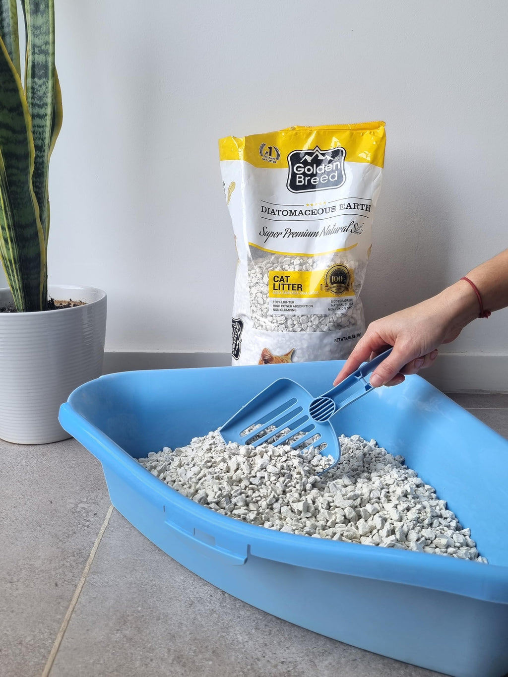 Lavender Scented Diatomaceous Earth 8.8 lb C931443