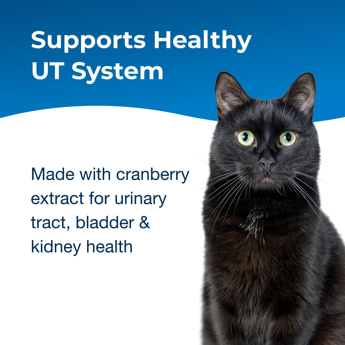 Urinary Tract Gel Supplement for Cats 3.5 oz W422380