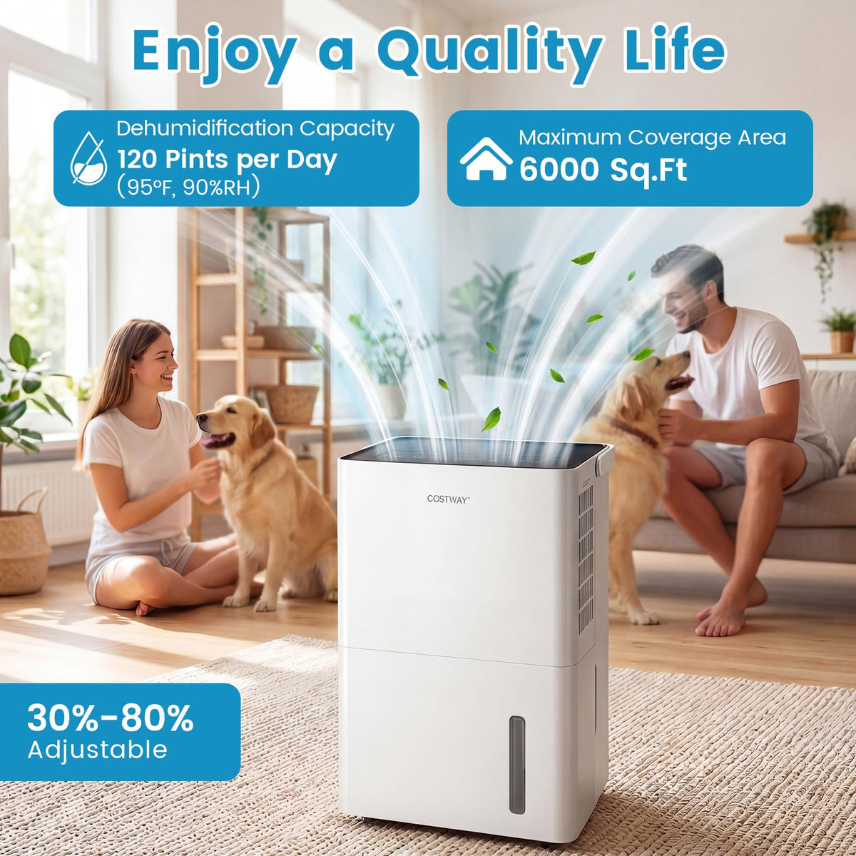 6000 Sq.Ft Compressor Dehumidifier W371