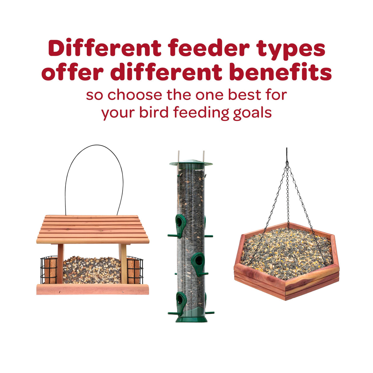 Nyjer Seed for Finches & Other Wild Birds, 20 Pounds D267