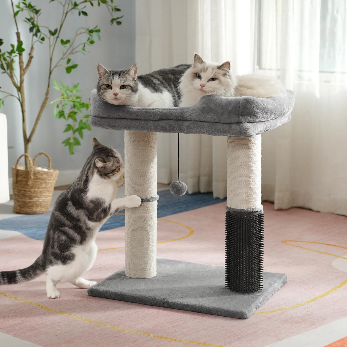 Cat Tree Tower with Bed C7021