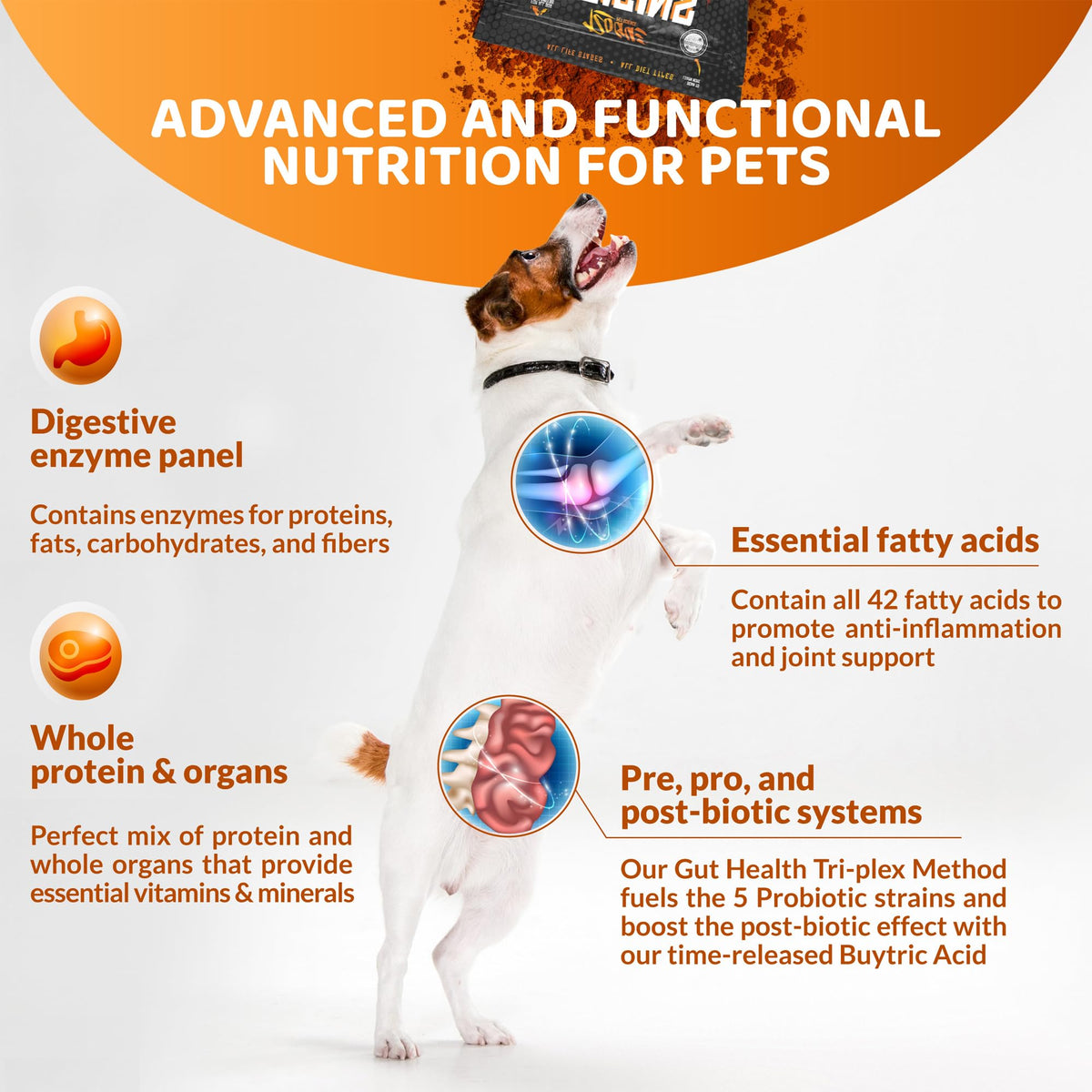 5-in-1 Dog Supplement Powdered Food Topper with Omega 3 Fish Oil 5 lbs X43603
