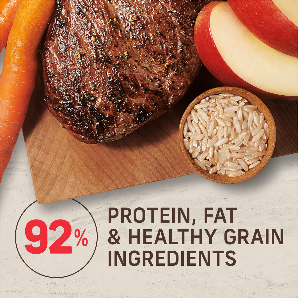Adult Dry Dog Food Beef and Brown Rice 12 lb X494995