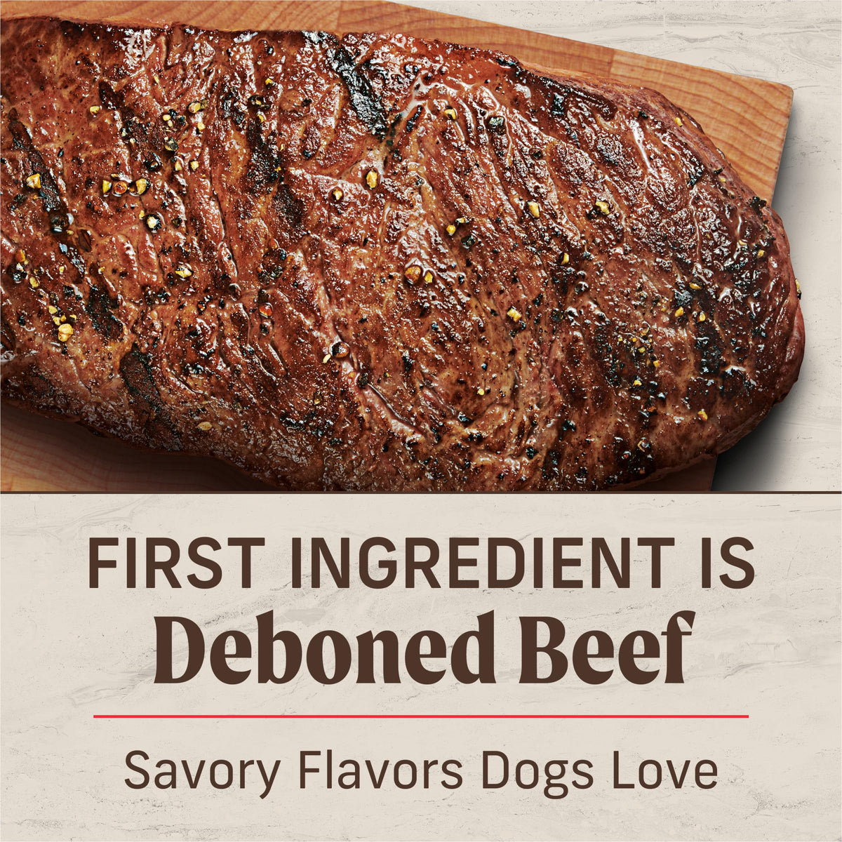Adult Dry Dog Food Beef and Brown Rice 12 lb X494995