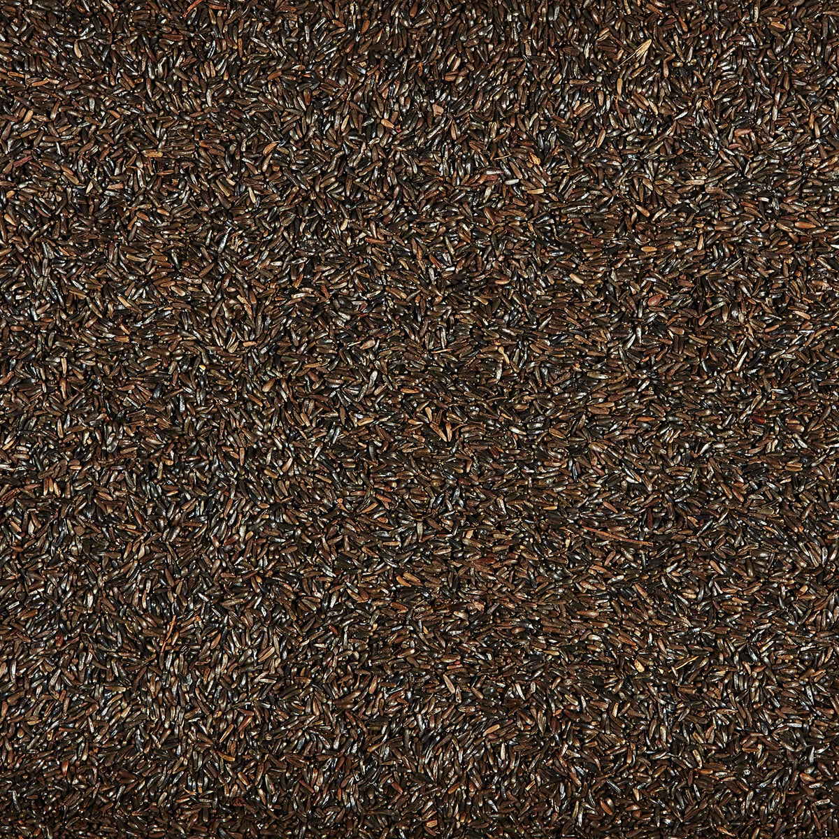 Nyjer Seed for Finches & Other Wild Birds, 20 Pounds D267